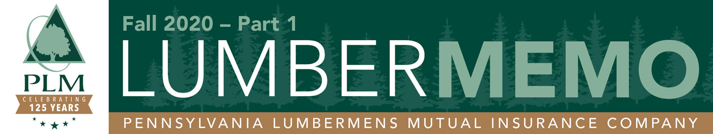 Lumber Memo: Fall 2020 Part 1