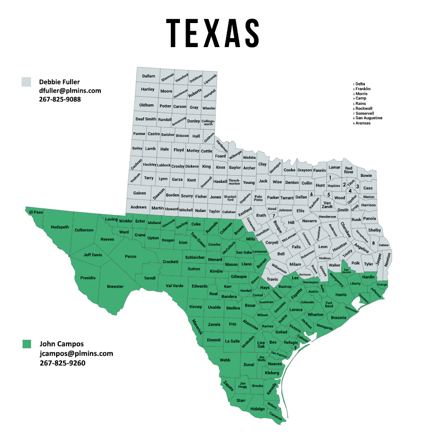 Texas Business Development Map