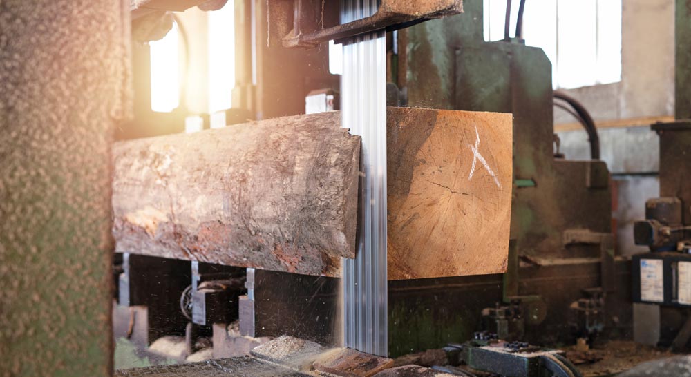 Is Your Sawmill Safe?