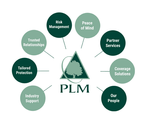 It's More Than An Insurance Policy when working with PLM