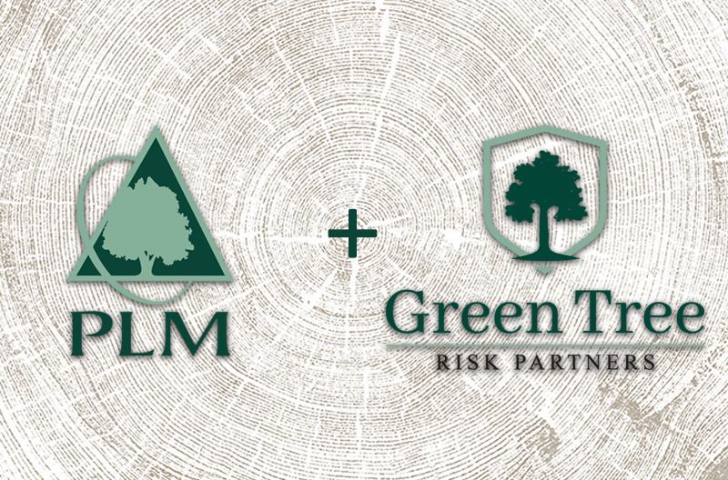 PLM and Greet Tree Risk Partners