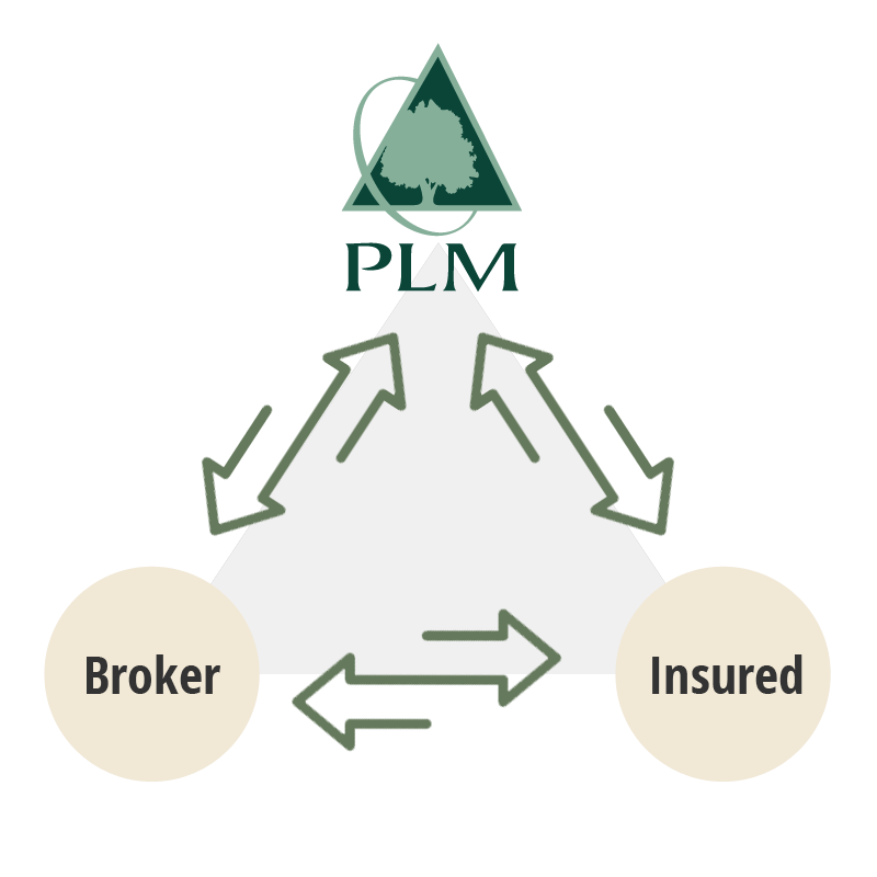 Insurance Producers & Brokers for Wood-Based Businesses